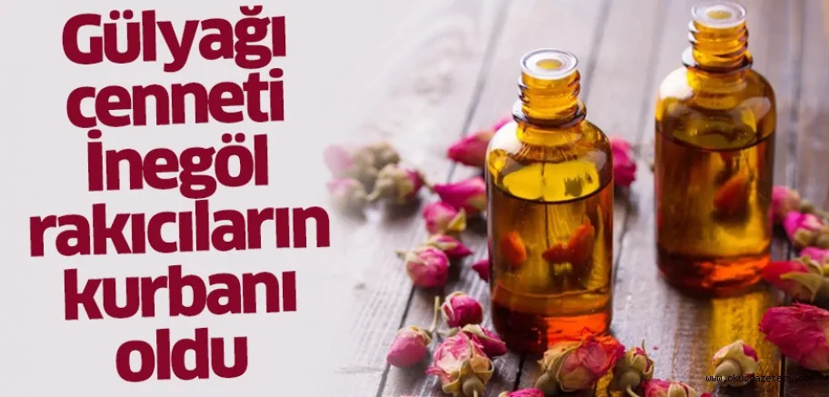Gülyağı cenneti İnegöl rakıcıların kurbanı oldu