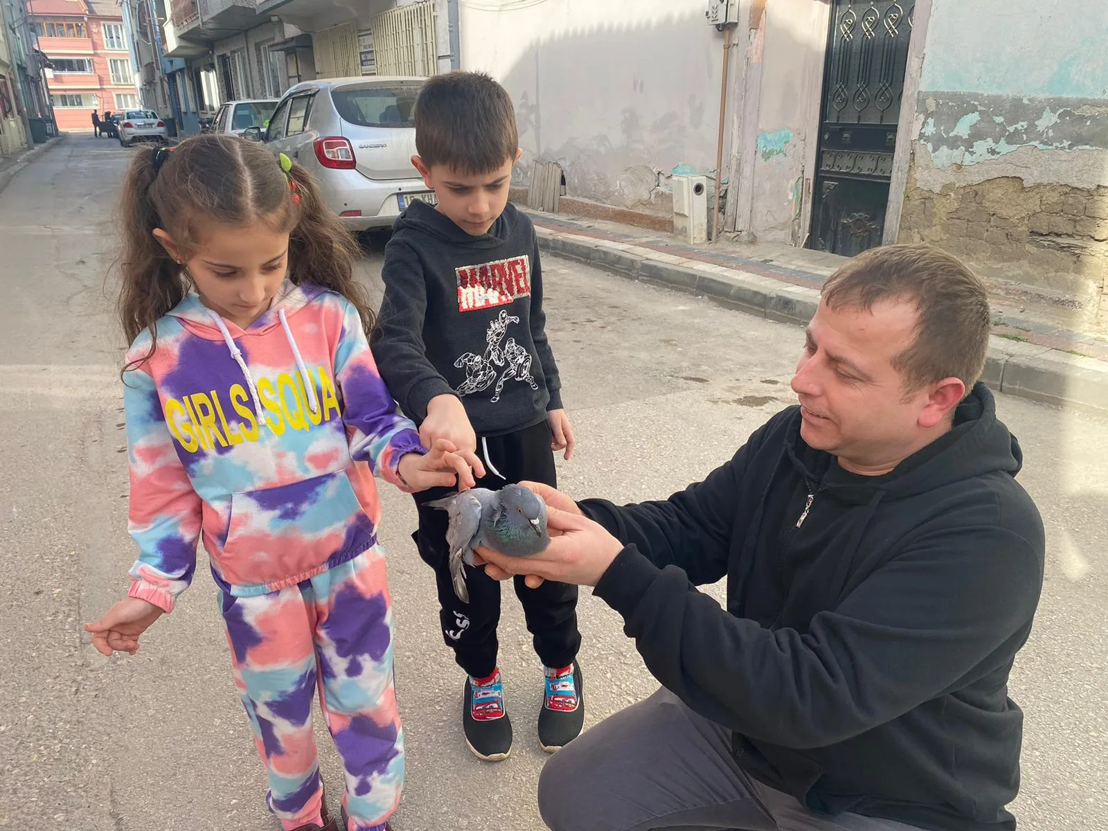 Yaralı güvercin tedavi altına alındı