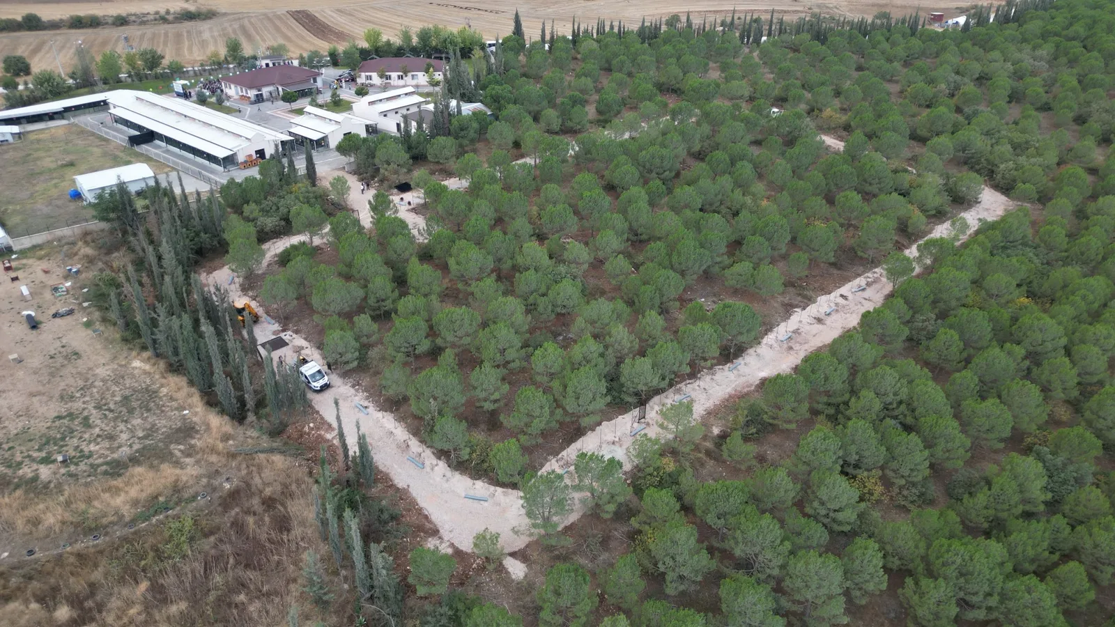 Can dostlarına yeni yuva