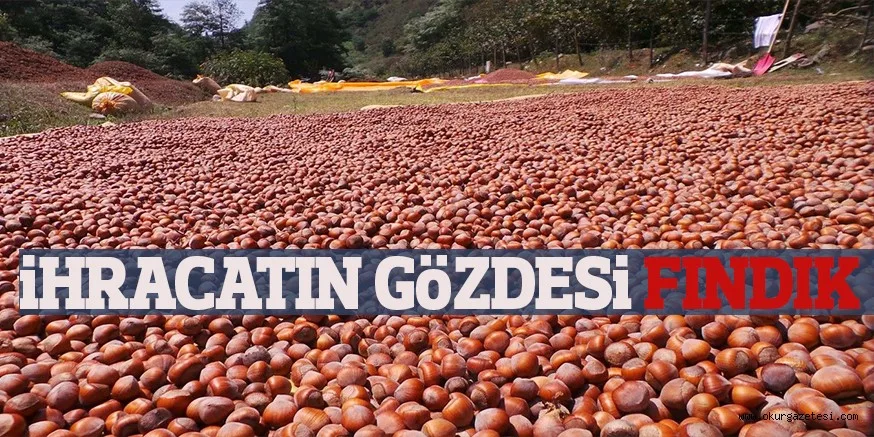iHRACATIN GöZDESi FINDIK
