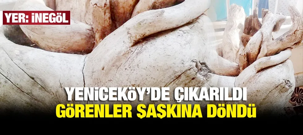 iLGi ODAĞI OLDU