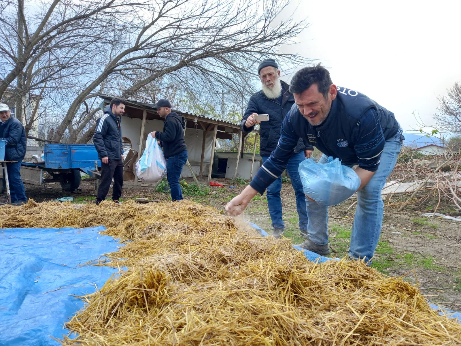 İnegöllü vatandaşlar 'İstiridye Mantarı' yetiştiriyor