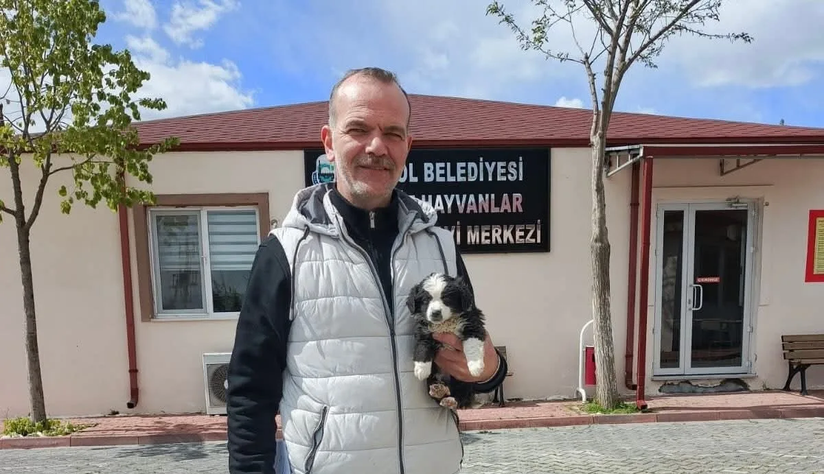 İnegöl Belediyesi’nden can dostlara şefkat eli; 'Satın alma, sahiplen” projesi sürüyor