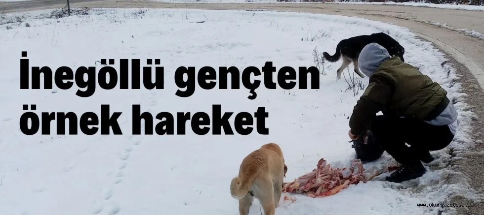 İnegöl'de yaban hayvanları unutulmadı
