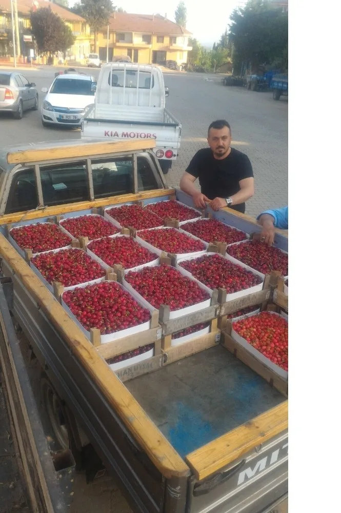 İznik Kirazı Kapışılıyor