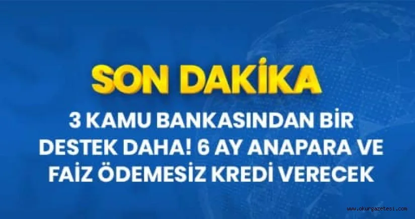 kamu bankası, işletmelere 6 ay anapara ve faiz ödemesiz kredi verecek