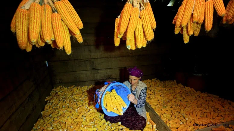 Karadenizli kadınlar kış hazırlıklarını sürdürüyor