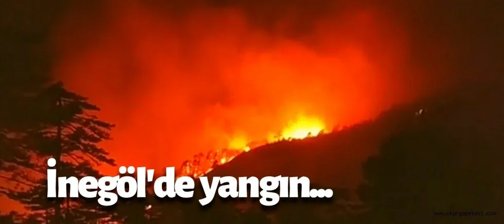 KORKUTAN YANGIN