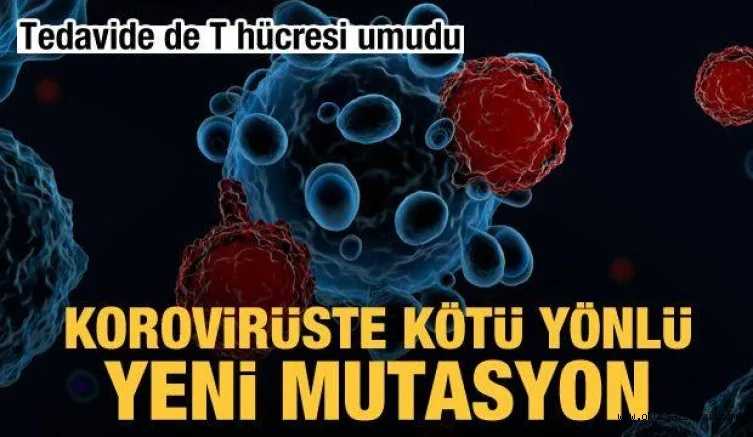 Koronavirüste kötü yönlü yeni mutasyon! Tedavide de 'T hücresi' umudu