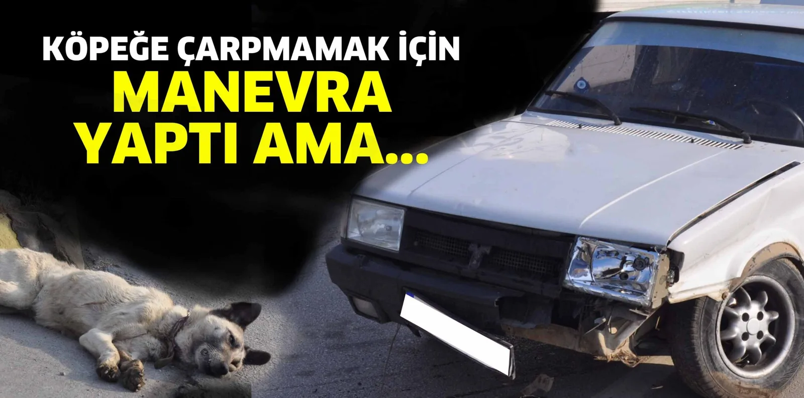 KÖPEĞE ÇARPMAMAK İÇİN MANEVRA YAPTI AMA...