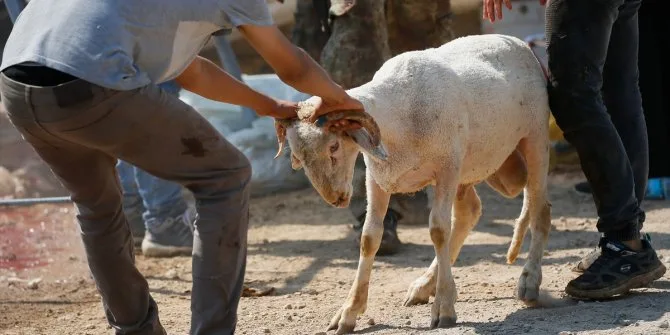 Kurban kesim kursu kayıtları başladı