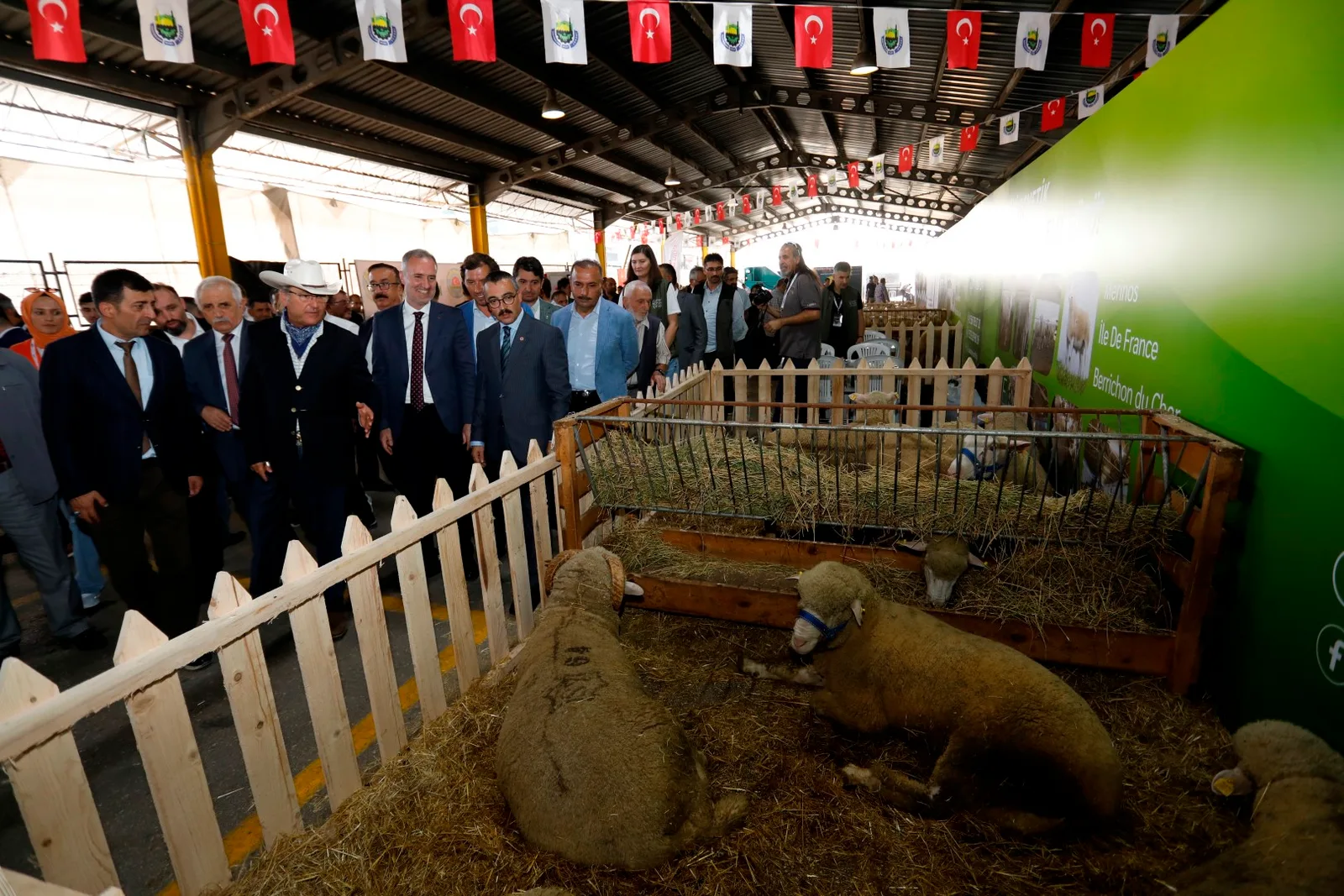 TÜRKİYE’NİN EN KAPSAMLI KÜÇÜKBAŞ HAYVANCILIK FESTİVALİ İÇİN GERİ SAYIM BAŞLADI