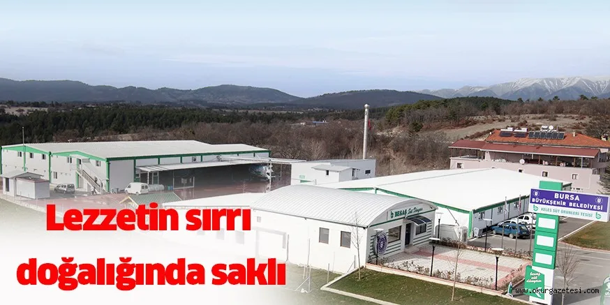 Lezzetin sırrı doğalığında saklı