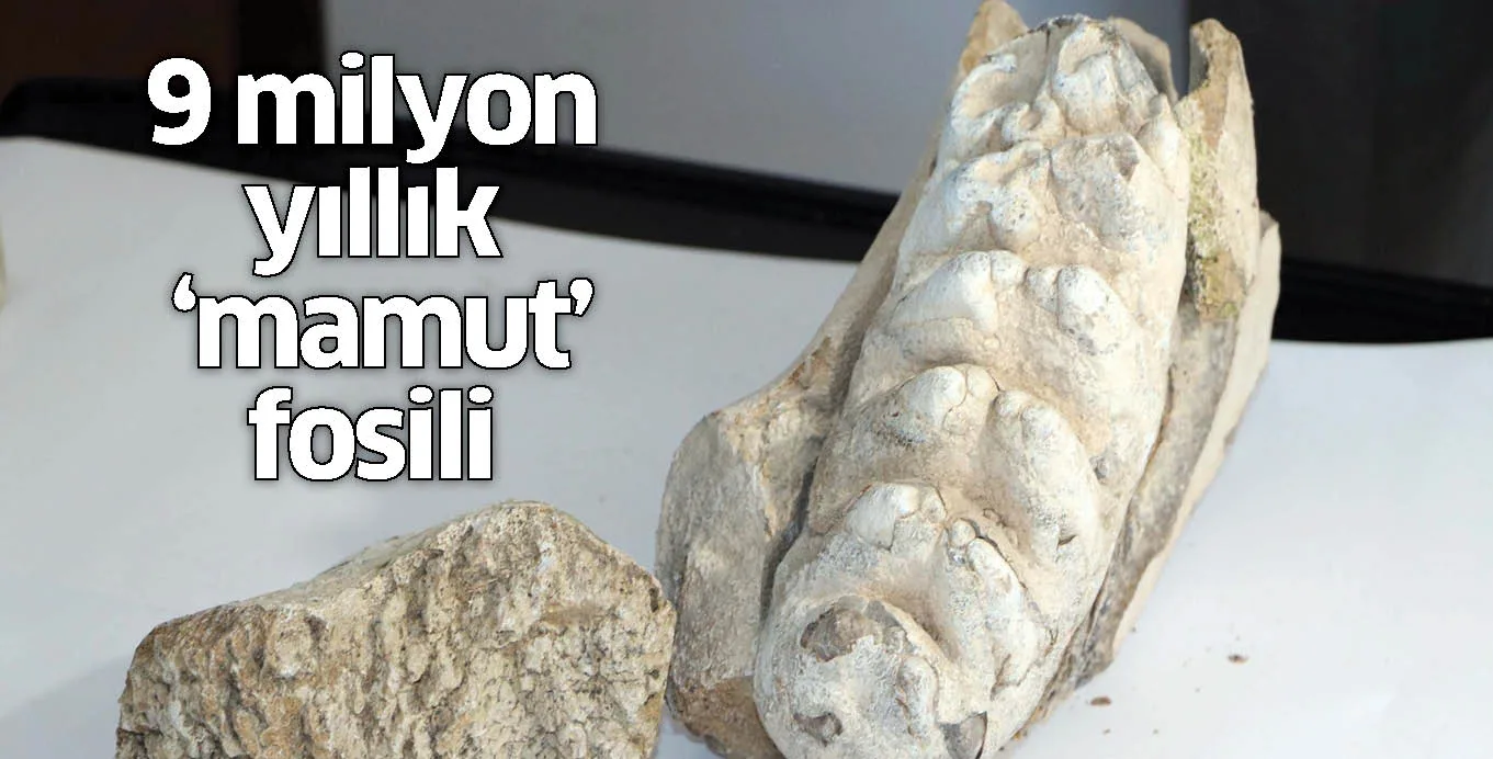 Yozgat'ta 9 milyon yıllık 'mamut' fosili bulundu