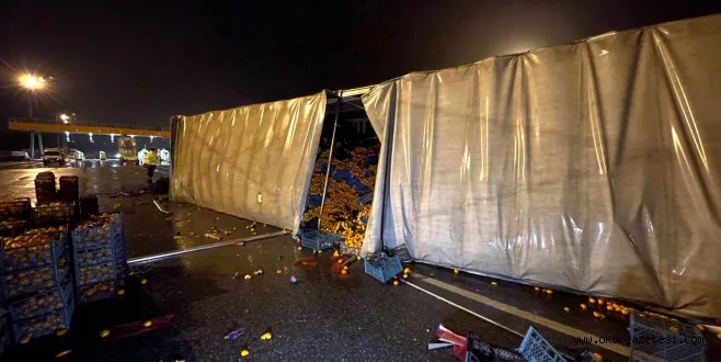 Mandalina yüklü tır devrildi