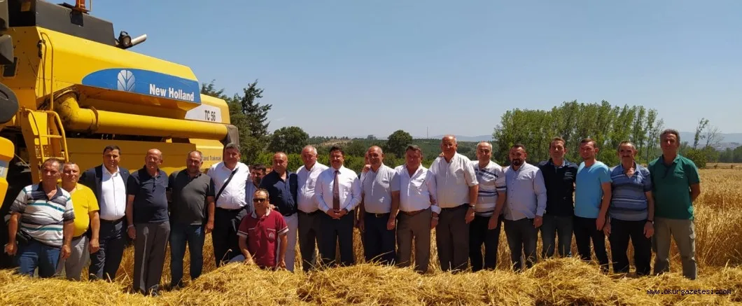 Mudanya'da buğday hasadı başladı