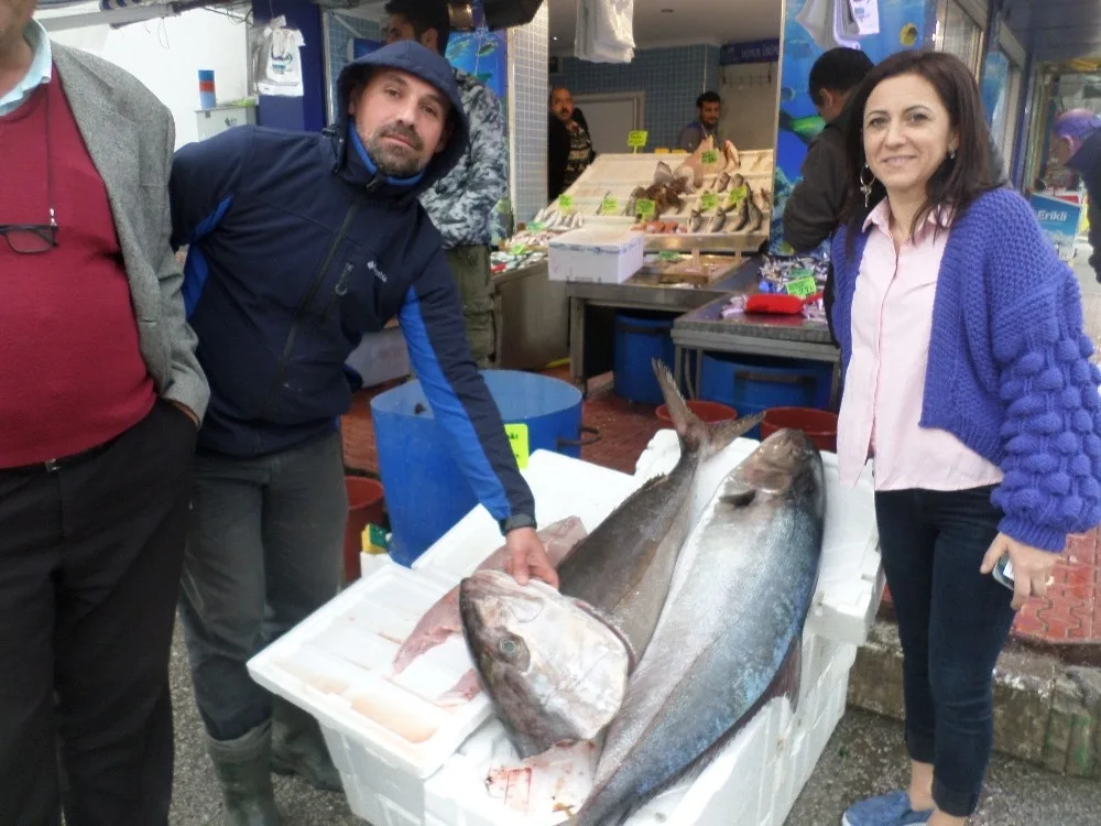 Mudanyada Balıkçıların Ağına 1 Metrelik Akya Takıldı
