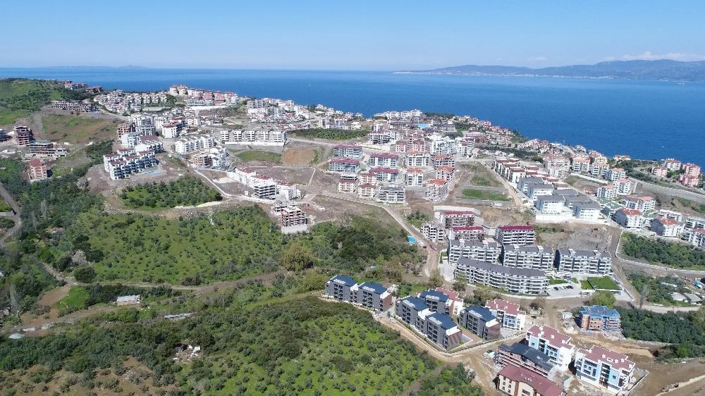 Mudanyada Zeytinliklere Yapılan Binlerce Konut Yıkılabilir