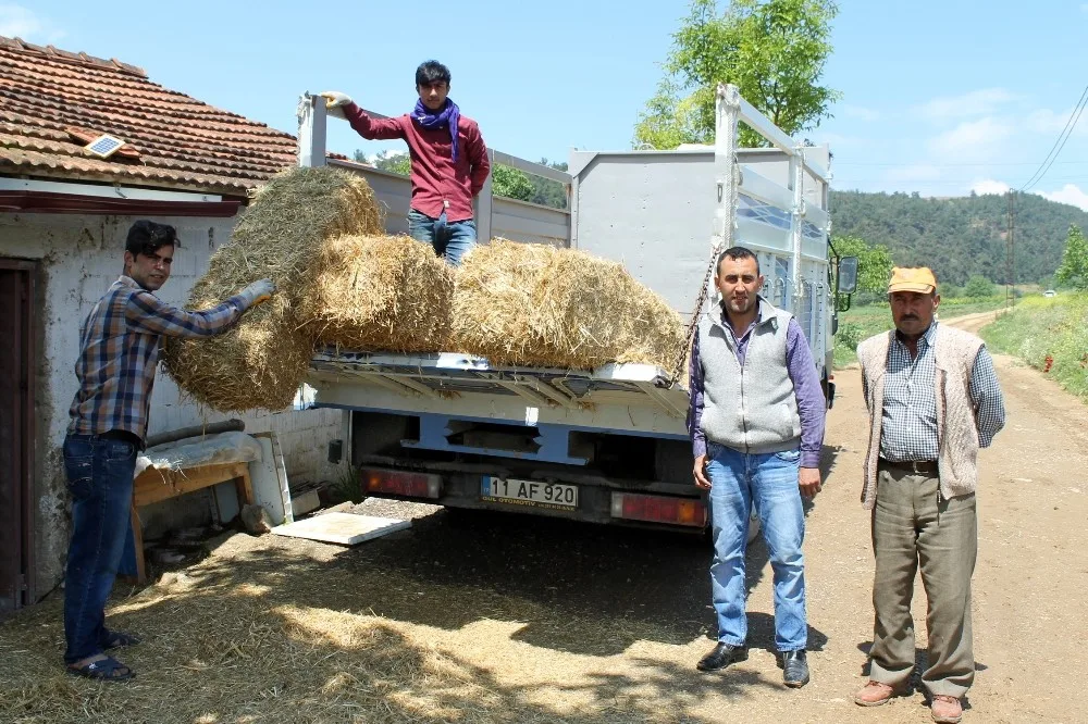 Saman Fiyatları Cep Yakıyor