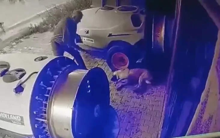 Köpeğe sopayla şiddet uygulayan şahıs adli kontrol şartı ile serbest kaldı