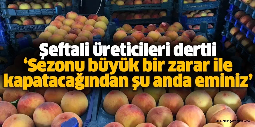 Şeftali üreticileri dertli ‘Sezonu büyük bir zarar ile kapatacağından şu anda eminiz’