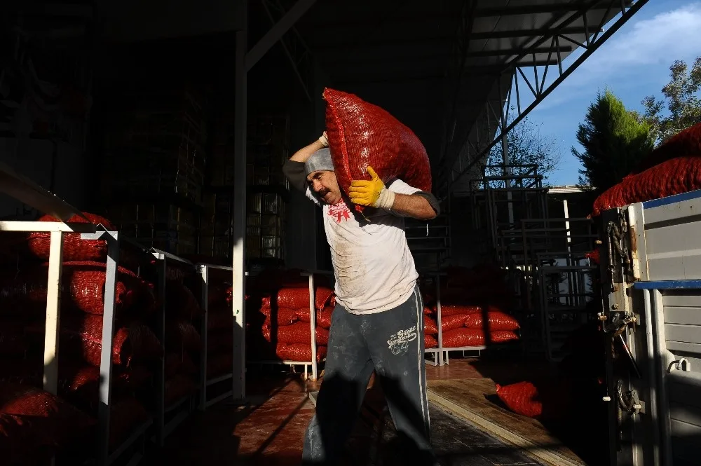 Şekerlemecilerin Kestane Alımı Yarı Yarıya Düştü