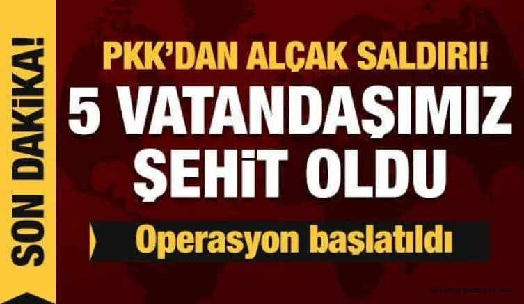 Son dakika haberi: Diyarbakır'da PKK köylülere saldırdı! 5 vatandaşımız şehit oldu