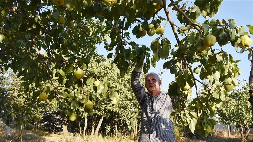 Çiftçi kazancıyla her yıl köyündeki 15 öğrenciye burs veriyor