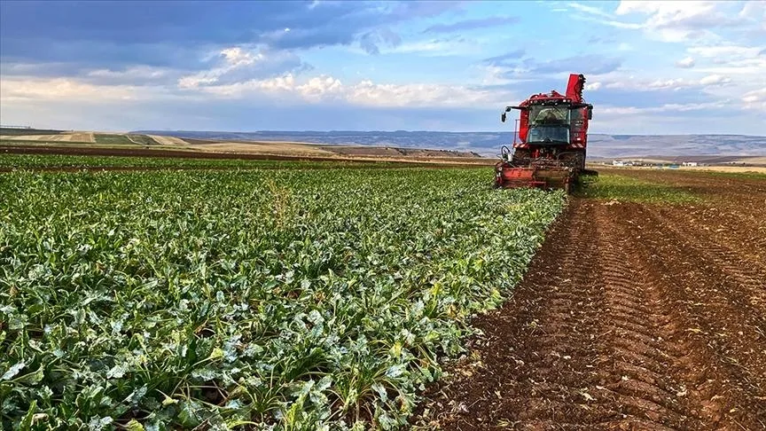 Çiftçi Kayıt Sistemi'ne (ÇKS) kayıt süresi yarın doluyor