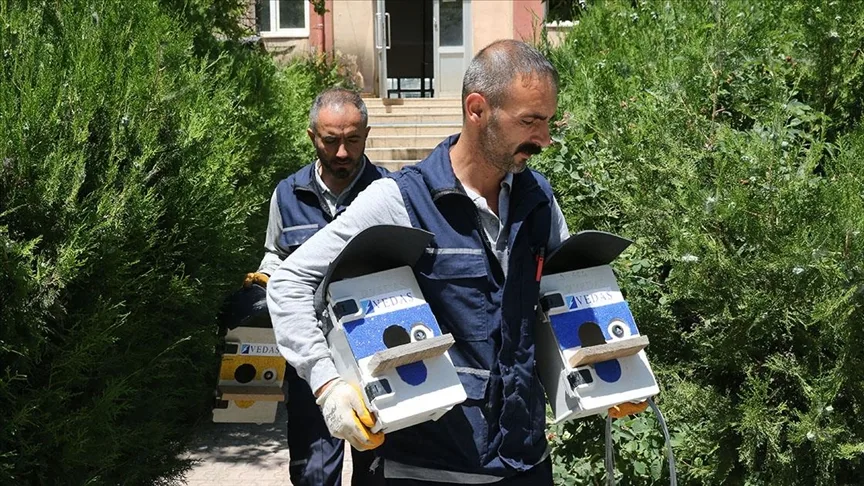 Atıl elektrik panoları, kuş yuvasına dönüştürülüyor