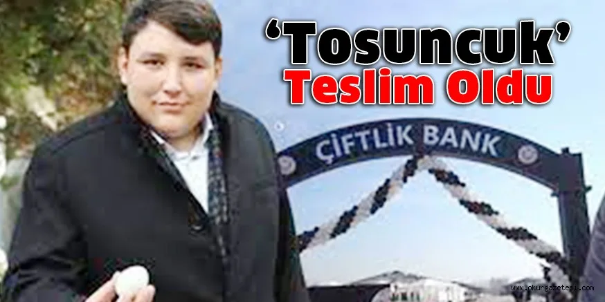 'Tosuncuk' lakaplı Mehmet Aydın teslim oldu