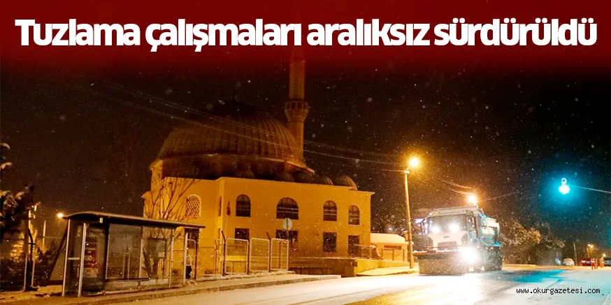 Tuzlama çalışmaları aralıksız sürdürüldü