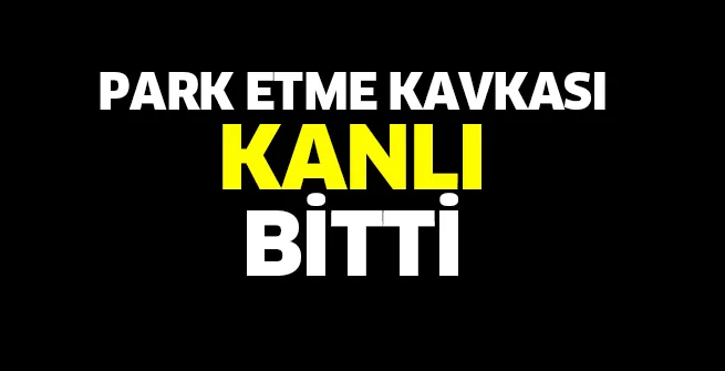 Alanyurt'ta kan aktı