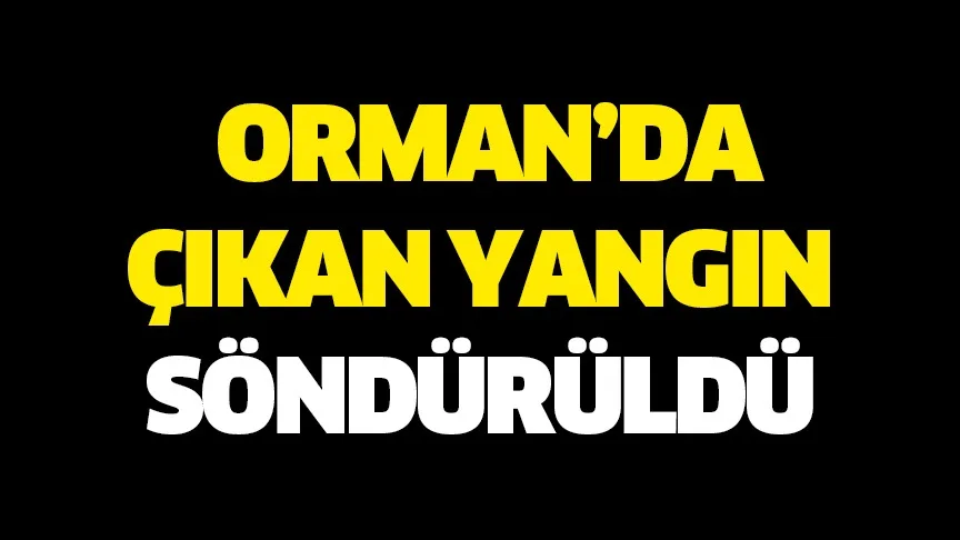 Karacabey'de çıkan orman yangını söndürüldü