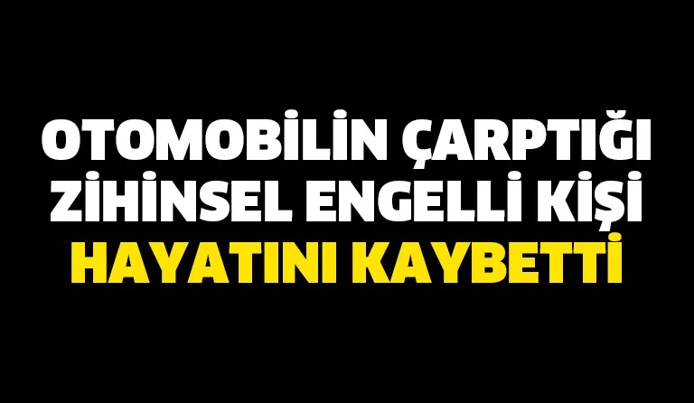 Otomobilin çarptığı zihinsel engelli kişi hayatını kaybetti