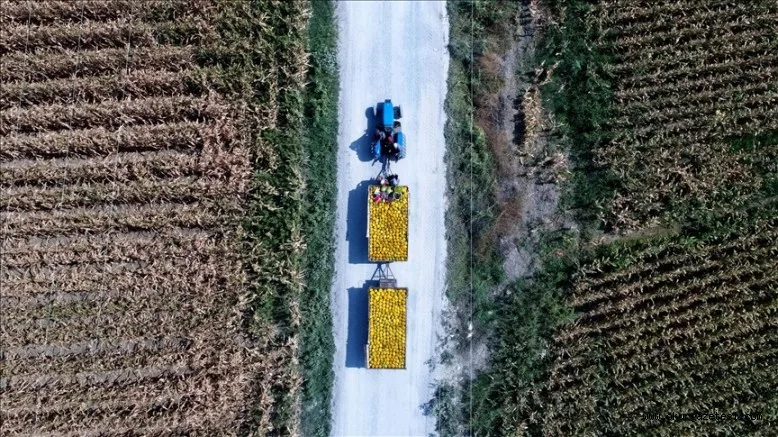 Yatırıma ve tarımsal üretime Hazine taşınmazı desteği