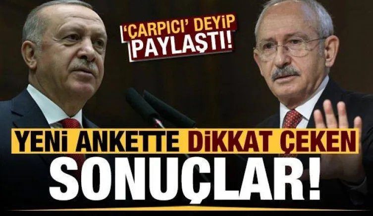 Yeni ankette dikkat çeken sonuçlar! 'Çarpıcı' deyip paylaştı...