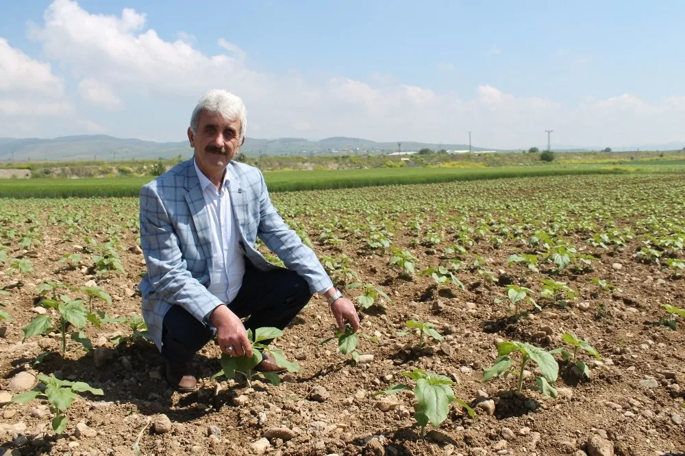 Yenişehirde 400 Bin Dekar Alan Suya Kavuşuyor