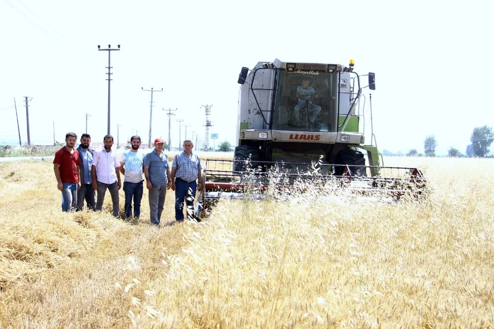 Yenişehirli Çiftiler Tmonun Alım Yapmasını İstiyor