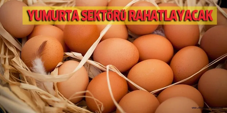 YUMURTA SEKTöRü RAHATLAYACAK