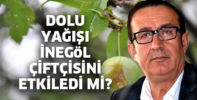 Dolu İnegöl'ü etkiledi mi?