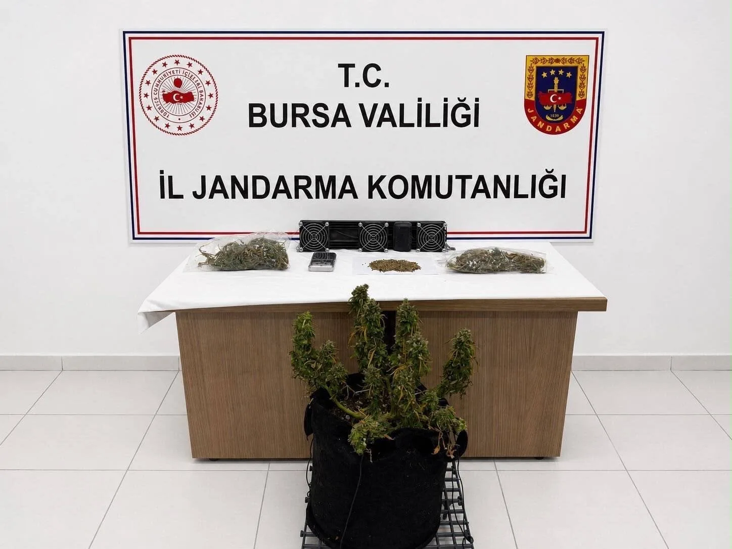EĞITIM