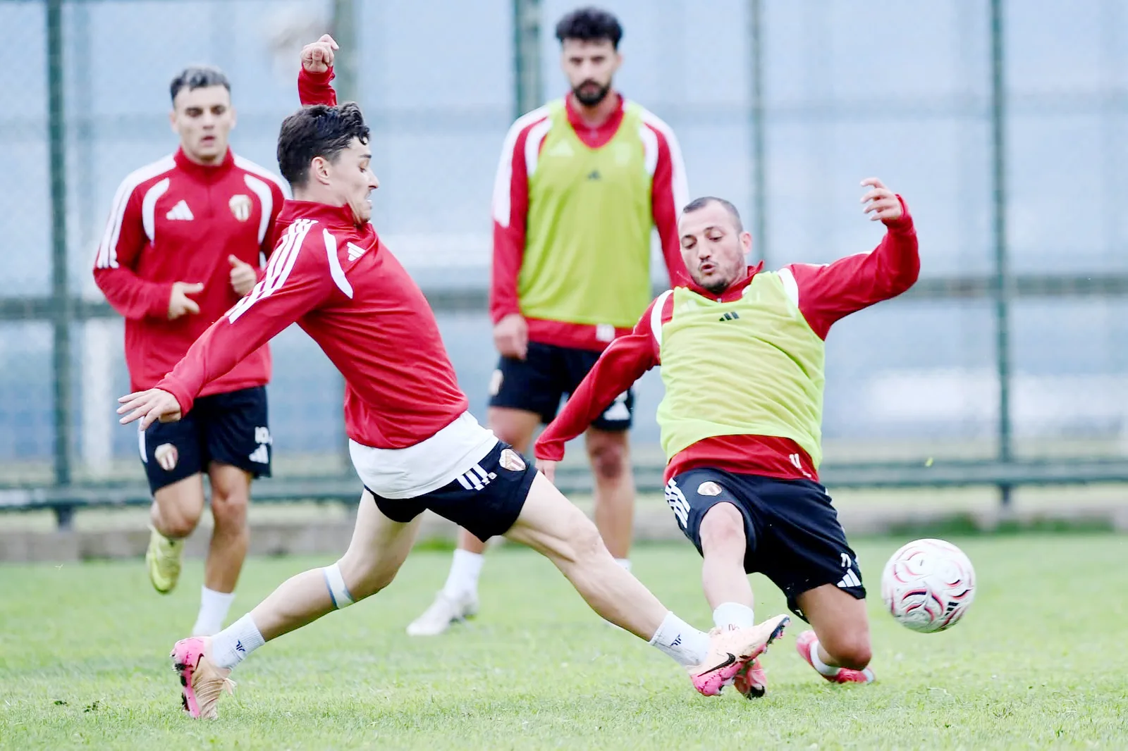 SPOR