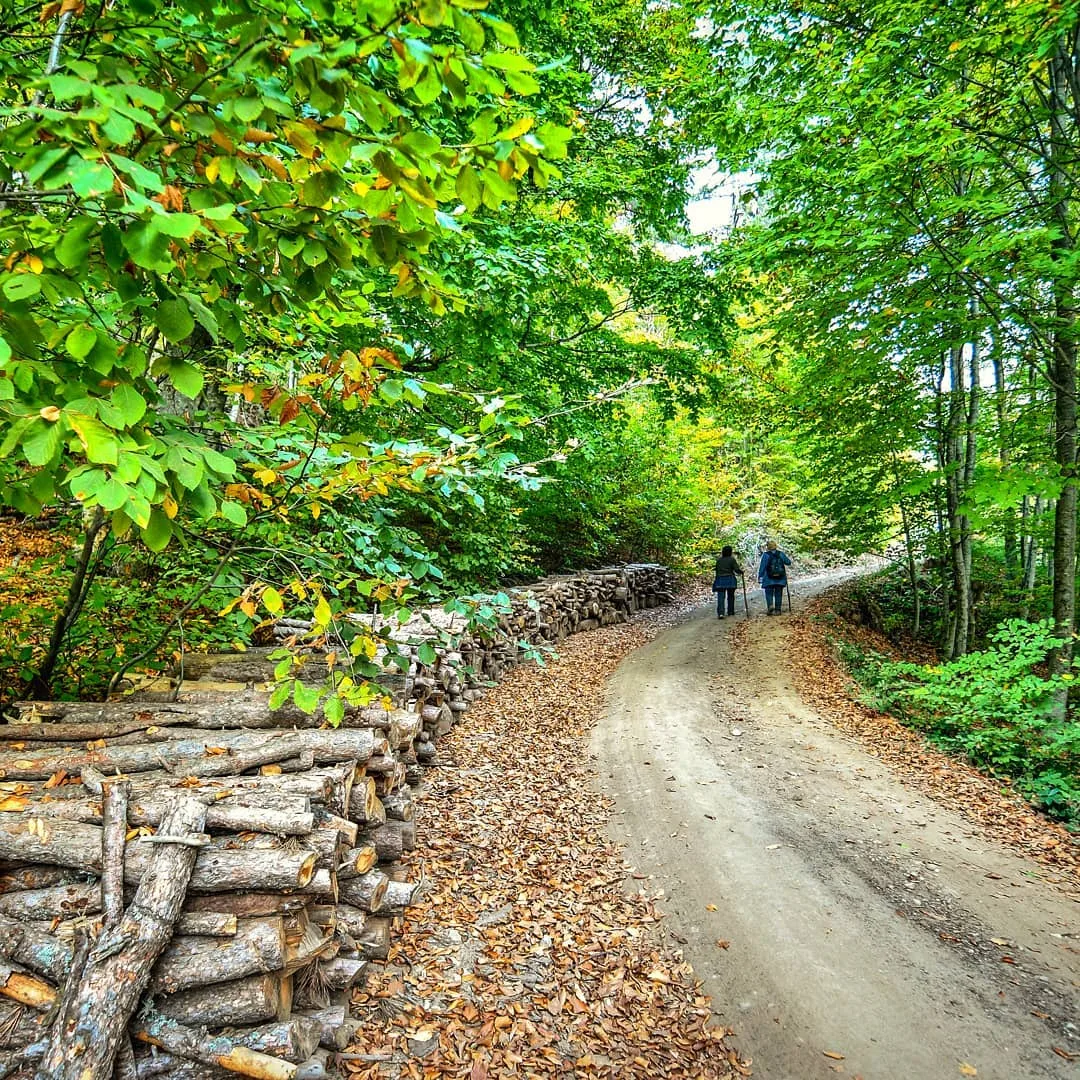 İNEGÖL