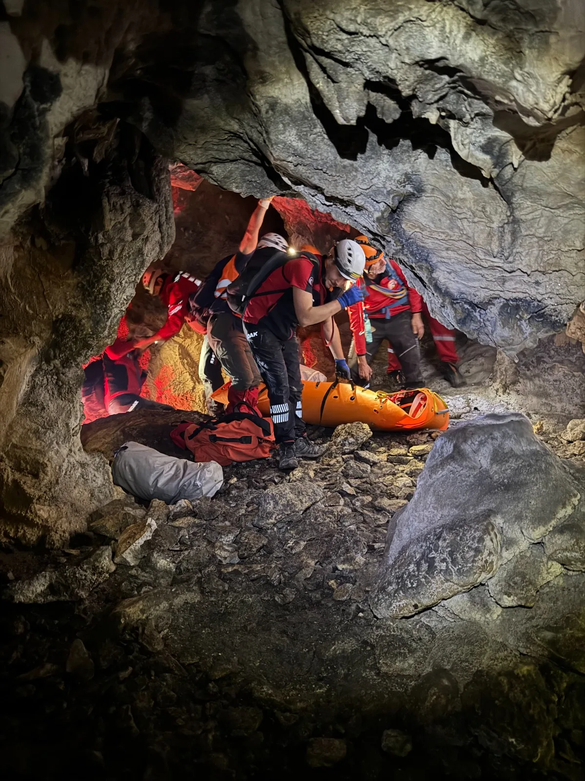 b6604933-f1d8-4527-bced-9615567c82c9