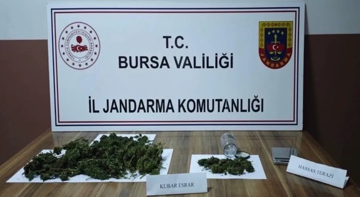 Kategori
